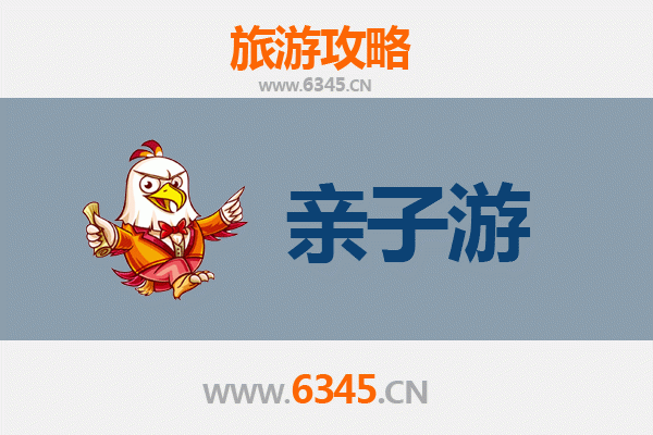 衢州柯城亲子游攻略：探索自然与文化的家庭乐趣